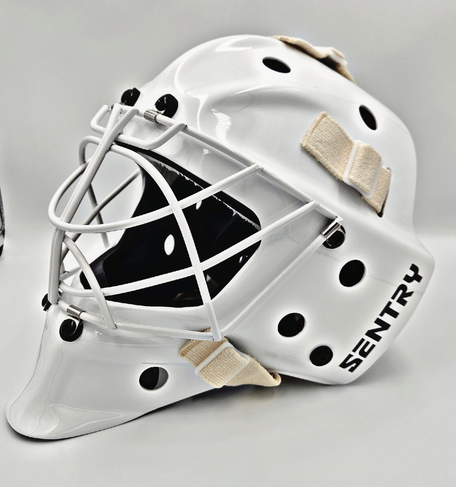 Sentury Mask TS1 Pro Series Mask - Premium Hockey Mask | Sentry Hockey